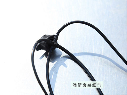 c鿴ԔϢ}μb(ji) xΔ(sh)2169